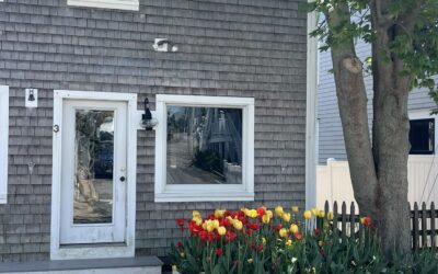 Sold in Provincetown!