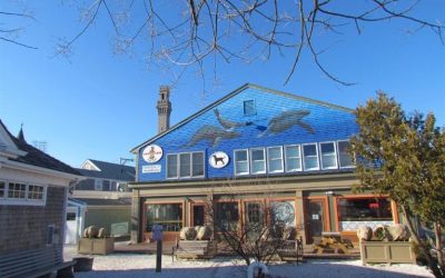 New Listing in Provincetown!